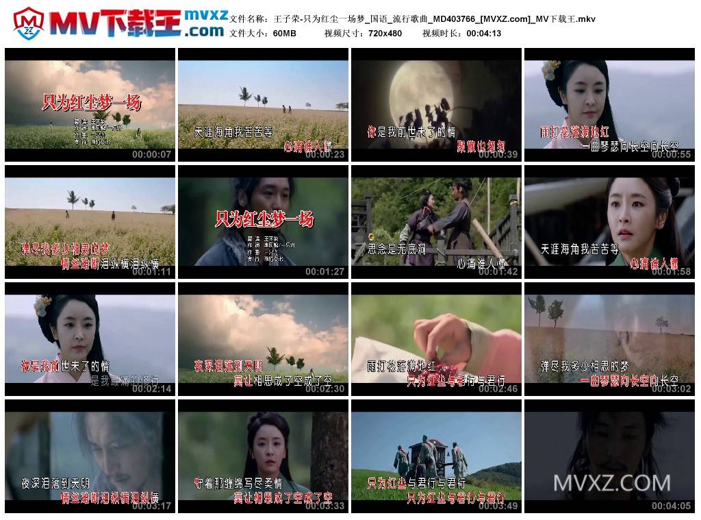 王子荣-只为红尘一场梦_国语_流行歌曲_MD403766